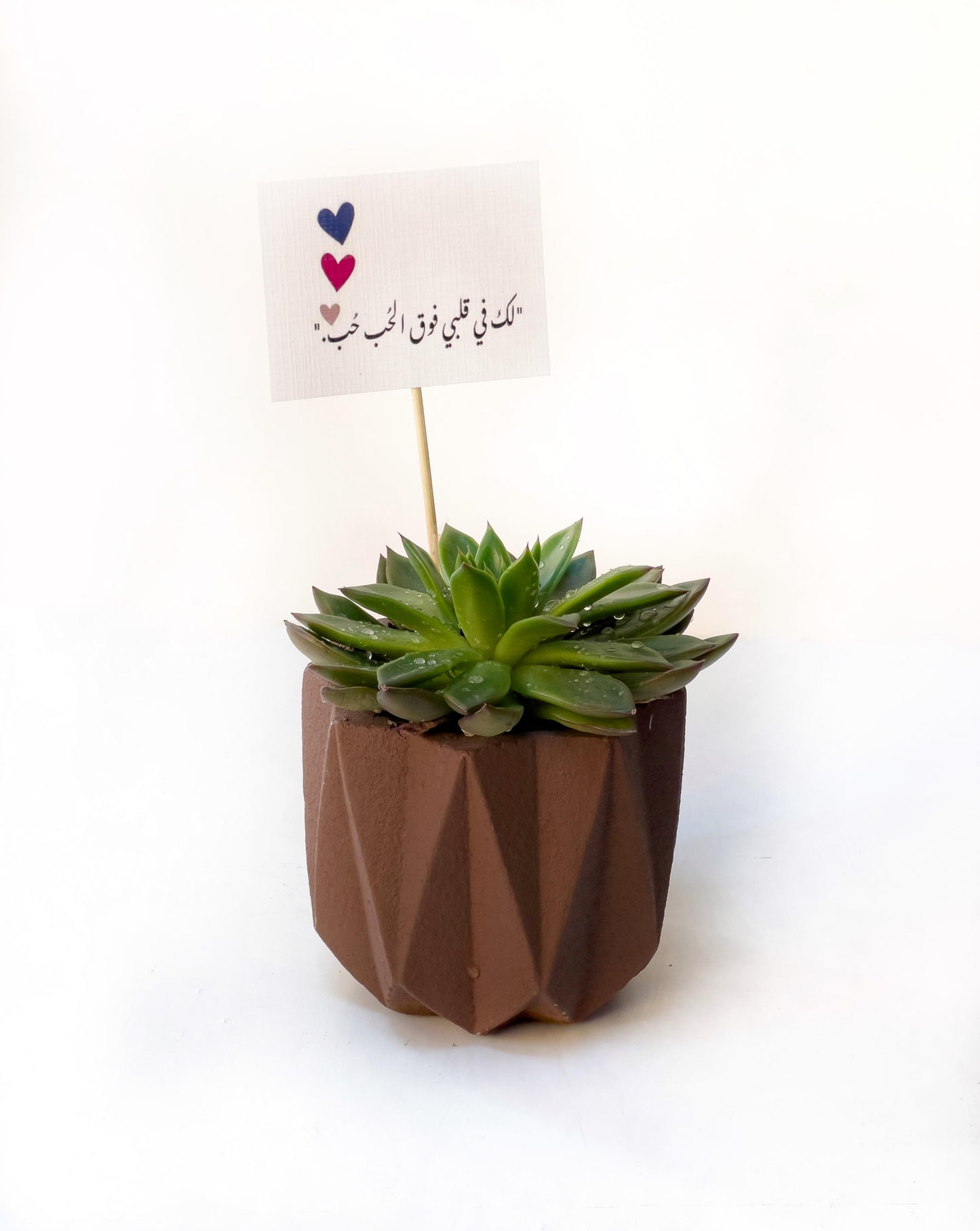 Modern Geometric Cactus Vase – Natural Touch